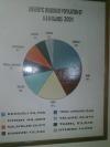 Andaman Population Pie Chart in a Museum